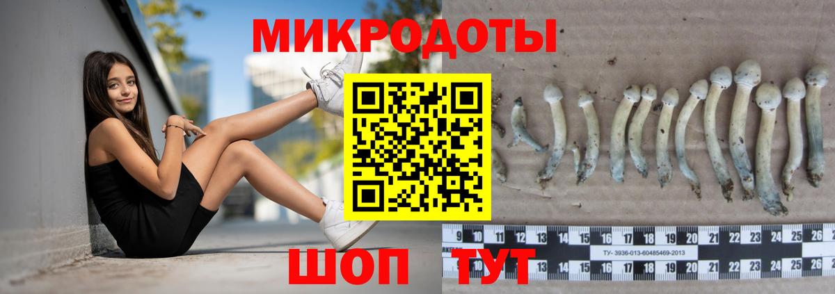 Галлюциногенные грибы Magic Shrooms Таганрог